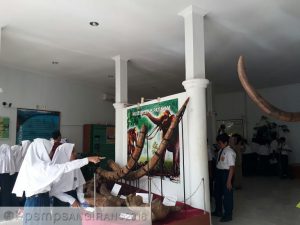 Gambar Artikel