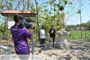 Gambar Artikel