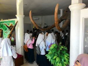Gambar Artikel