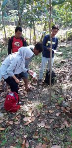 Gambar Artikel